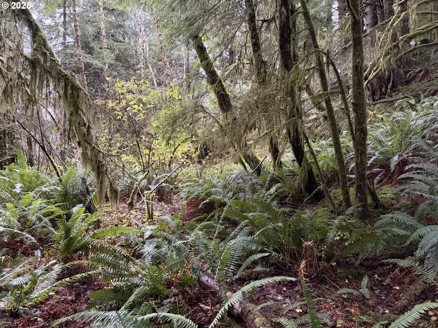 0 Siletz Hwy, Lincoln City, OR 97367 - Image #3