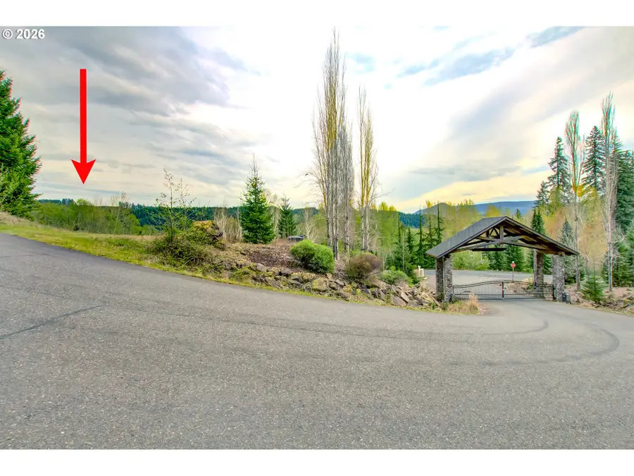 235 Bayswater Rd, Amboy, WA 98601 - #3