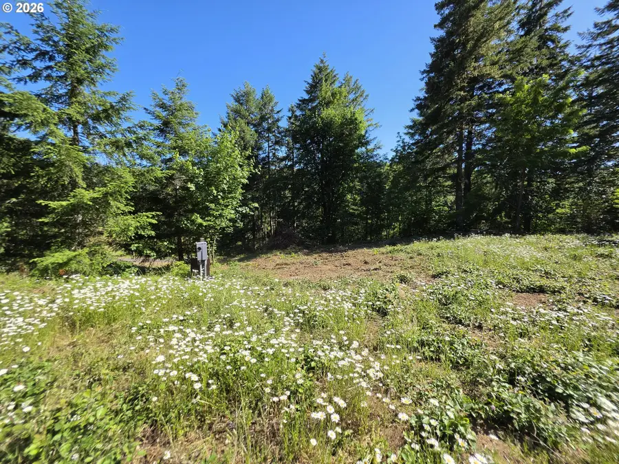 25797 Siuslaw River Rd, Lorane, OR 97451 - #3