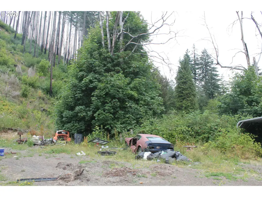 22951 S Cadonau Rd, Estacada, OR 97023 - #3