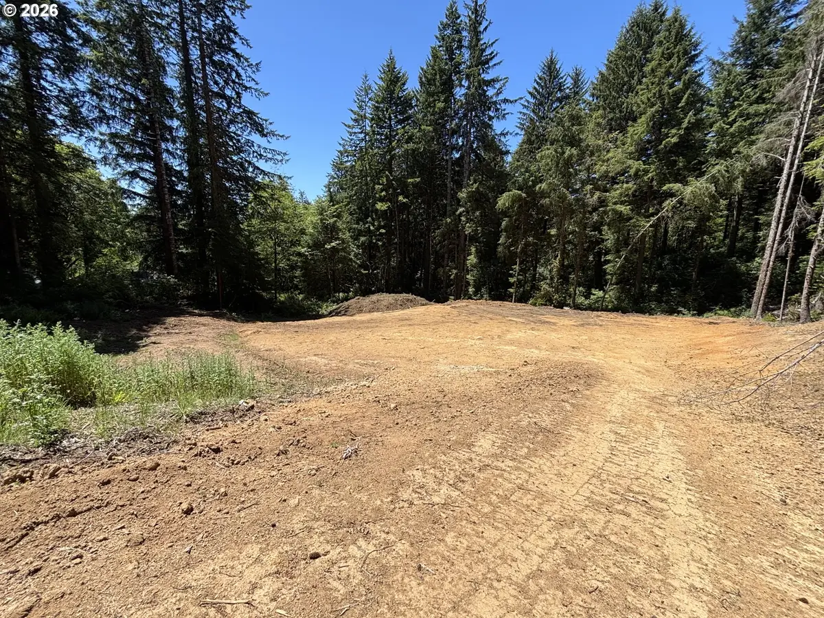83672 Kiechle Arm Rd, Florence, OR 97439 - #1