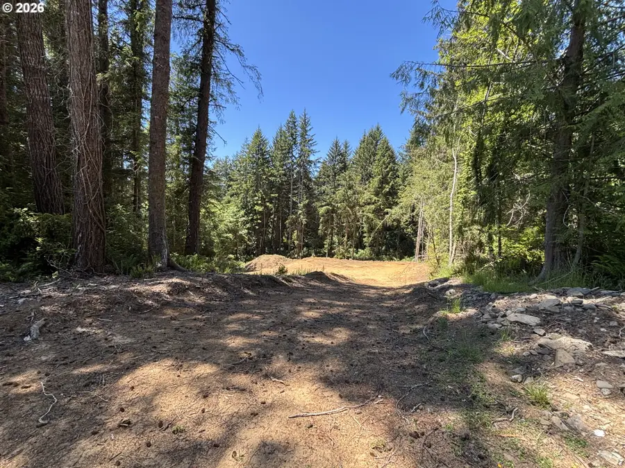 83672 Kiechle Arm Rd, Florence, OR 97439 - #2