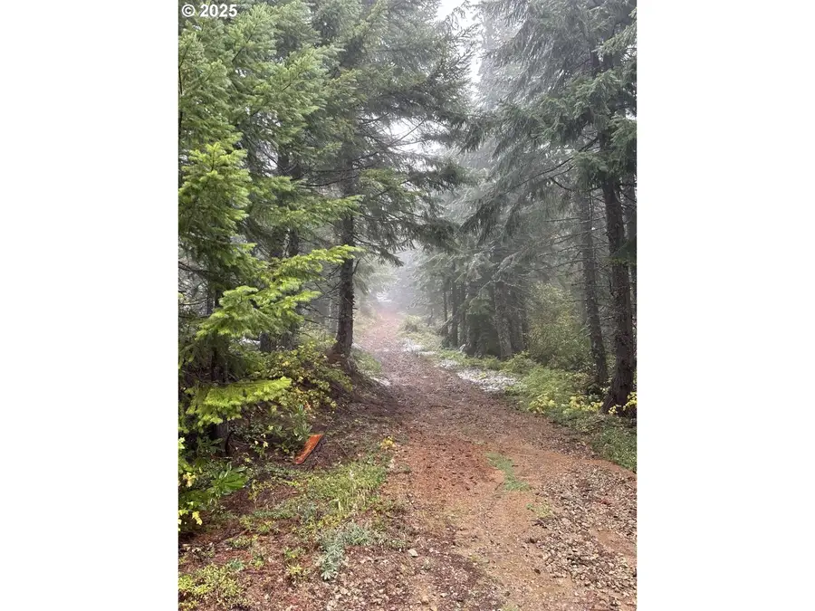 0 Calapooia Rd, Holley, OR 97386 - Image #3