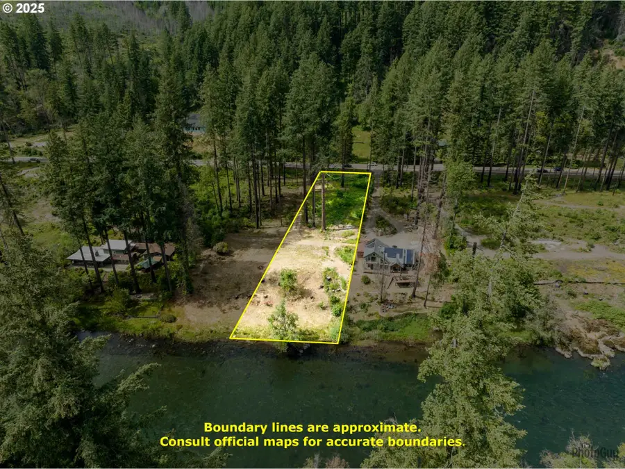 47664 Mckenzie Hwy, Vida, OR 97488 - #3