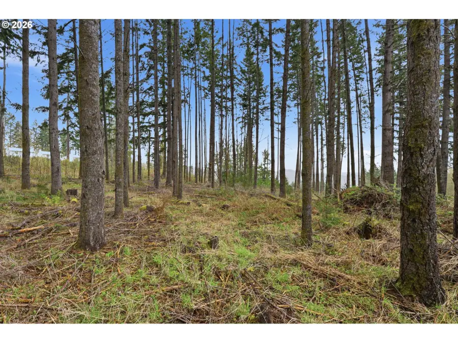 NW Pumpkin Ridge Rd, North Plains, OR 97133 - #3