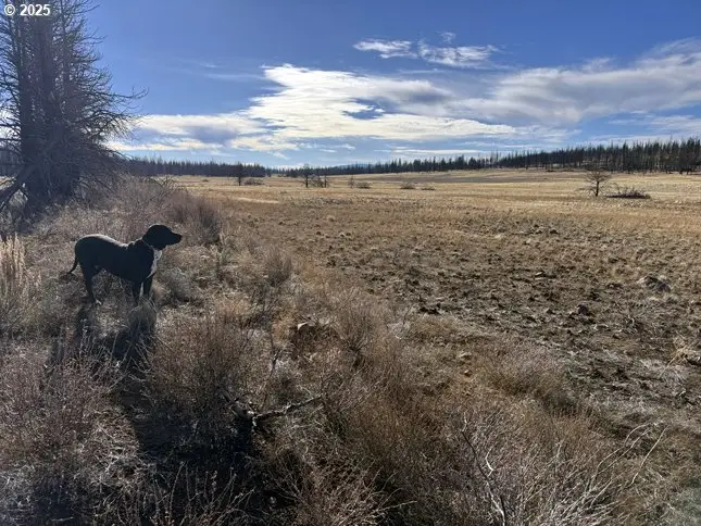 Yellow Pine Rd #13, Bly, OR 97622 - Image #2