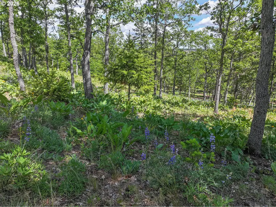 Thompson Trail, Goldendale, WA 98620 - #2