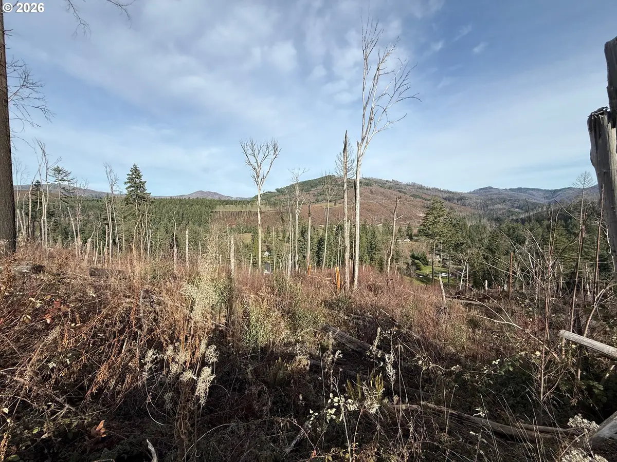 Cascade View #1, Vida, OR 97488 - Image #1