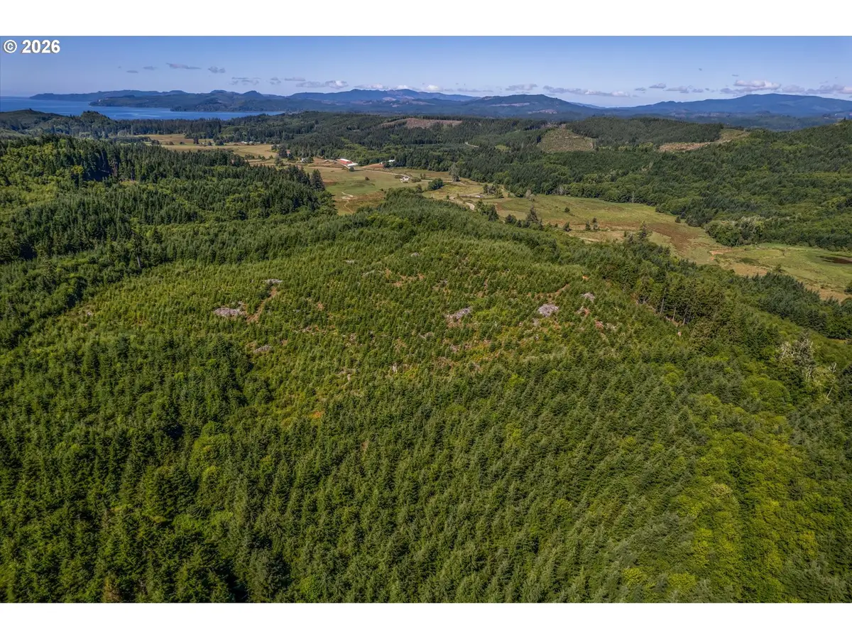 Eden Valley Rd, Rosburg, WA 98643 - #1
