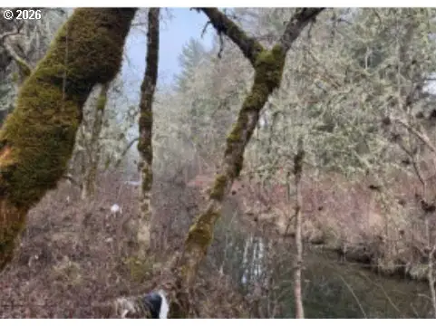 3603 Leland Rd, Wolf Creek, OR 97497 - #3