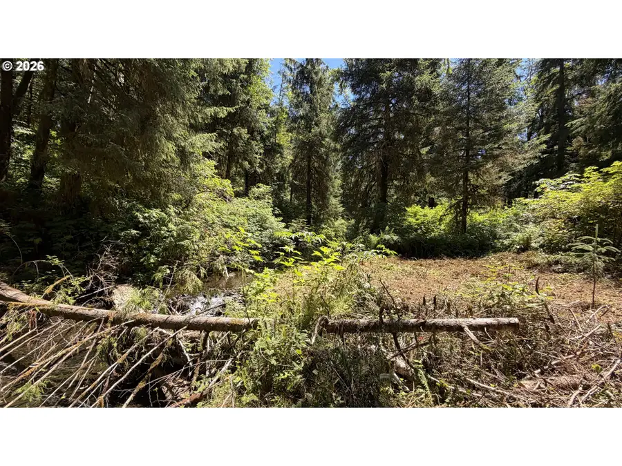 1799 N Doris Ln, Otis, OR 97368 - #2