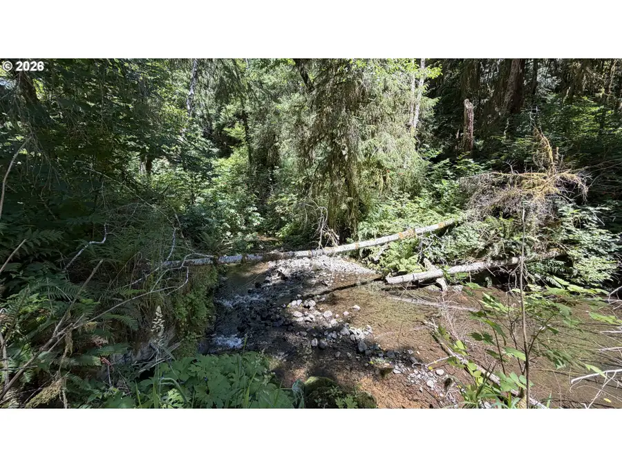 1799 N Doris Ln, Otis, OR 97368 - #3