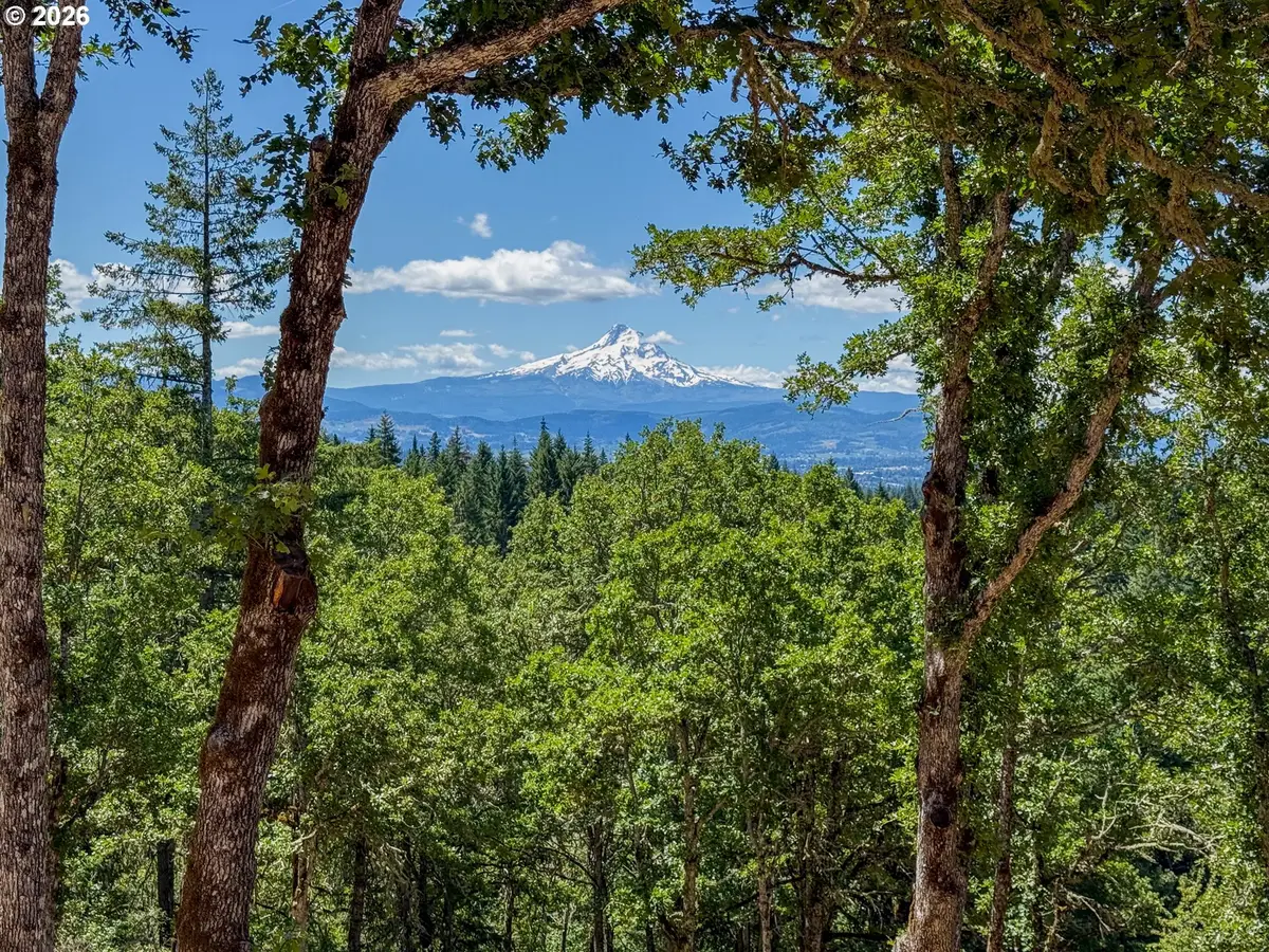 34 Jewett Creek Lp Rd, Bingen, WA 98672 - #1