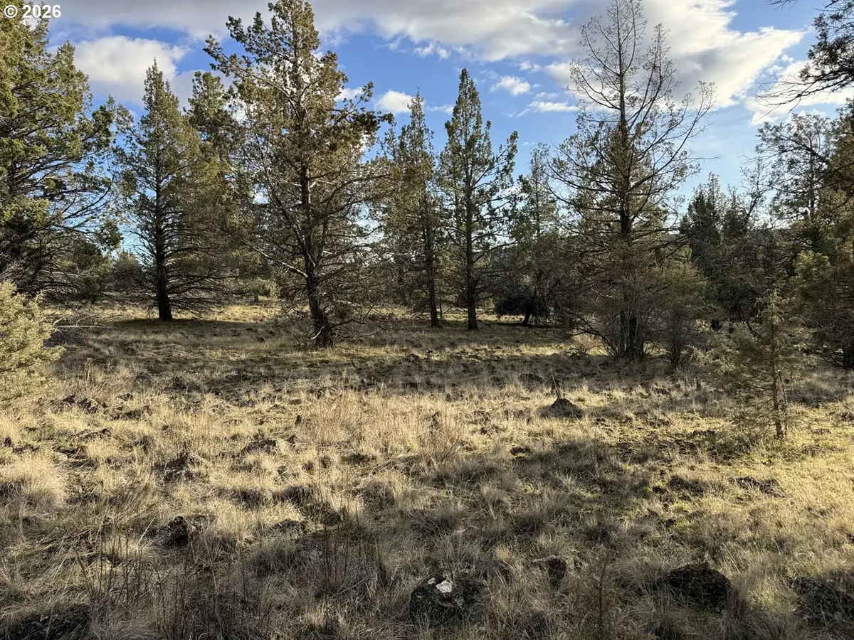 Canvasback Dr #35, Bonanza, OR 97623 - #1