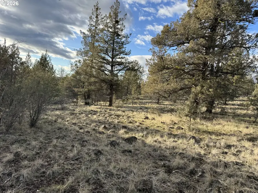 Canvasback Dr #35, Bonanza, OR 97623 - #3