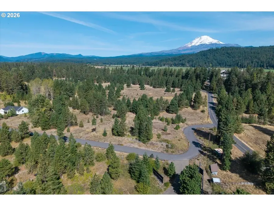 9 Pahtoe View Ln, Trout Lake, WA 98650 - #2