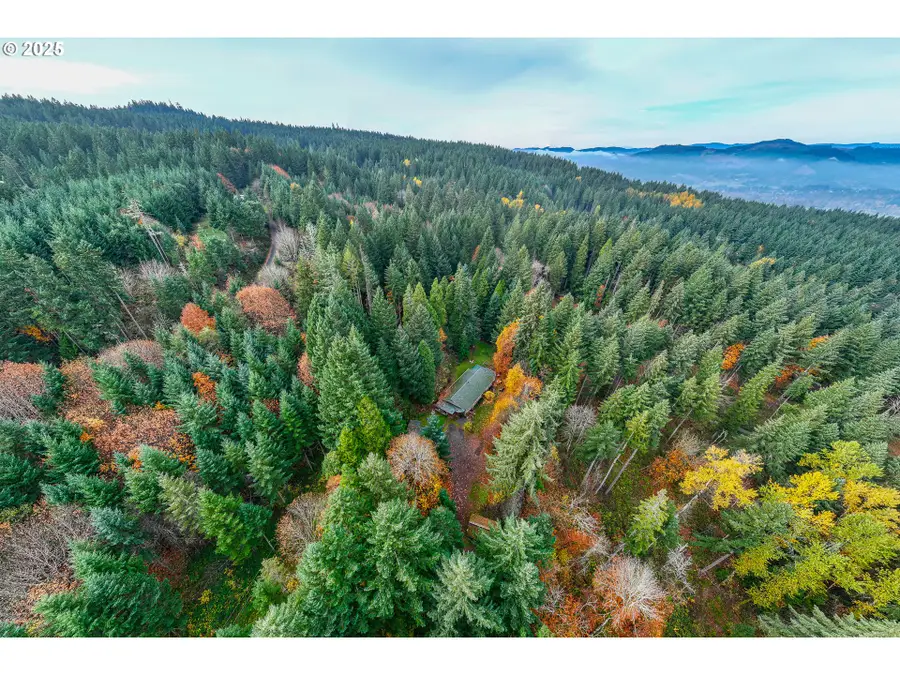 87250 Cedar Flat Rd, Springfield, OR 97478 - Image #2