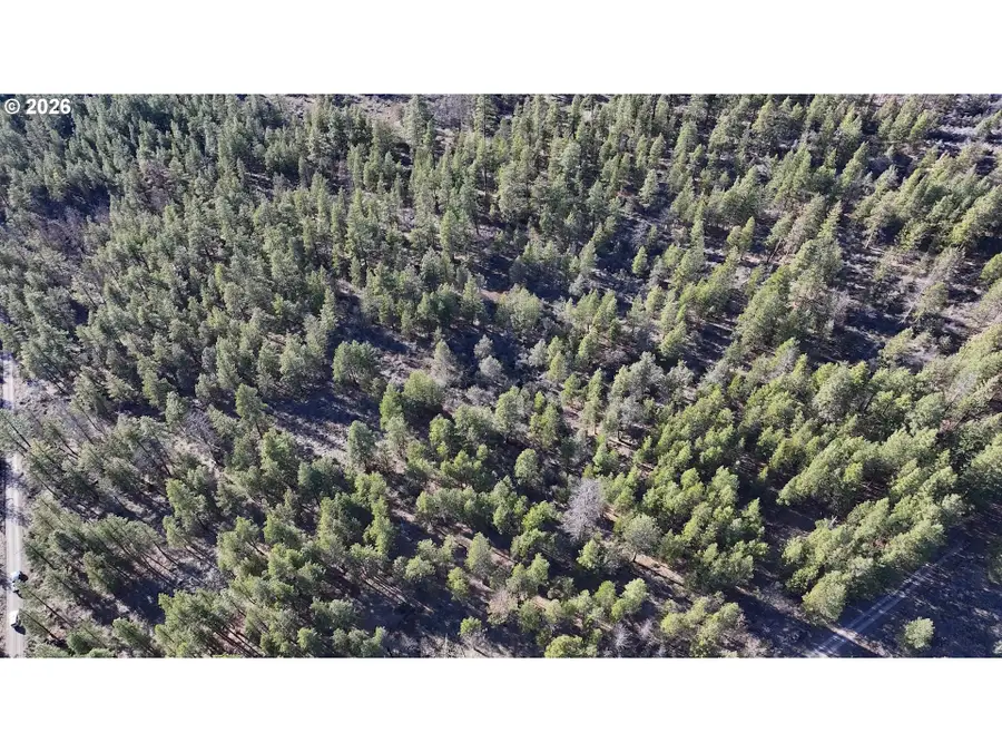 Badger Lane, Bonanza, OR 97623 - #3