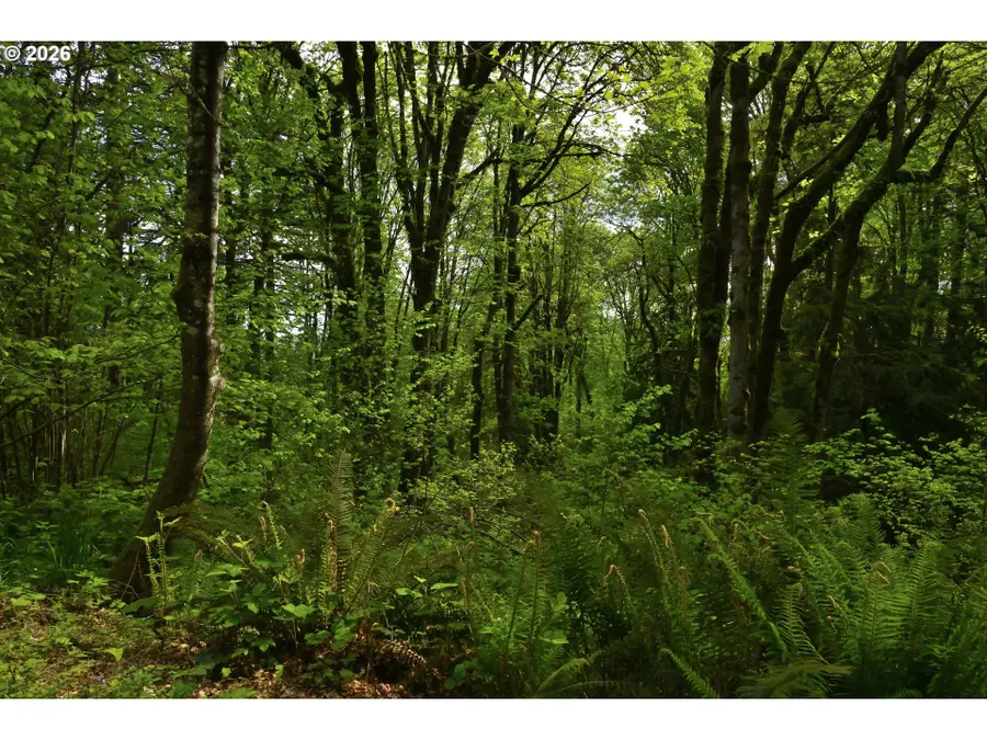 0 SE Maple Hill Ln, Happy Valley, OR 97086 - #3