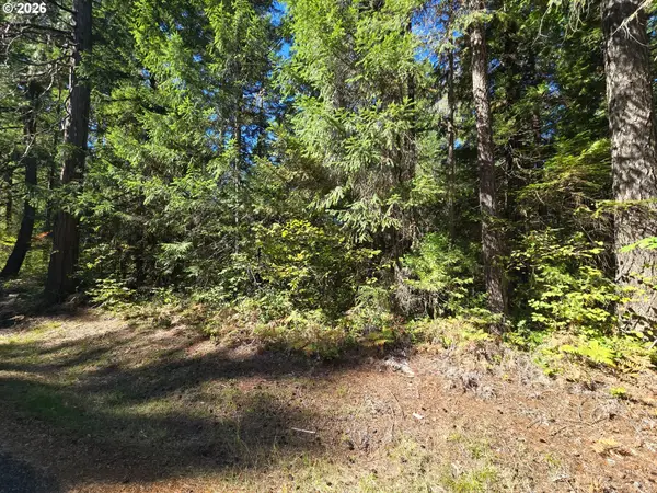 1655231000900, McKenzieBridge, OR 97413