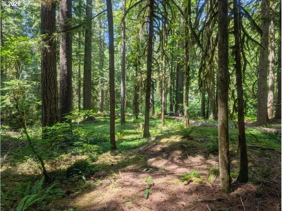 78549 E Rd 35 Lot 115, Rhododendron, OR 97049 - #3