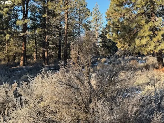 Klamath Forest Dr, Sprague River, OR 97639 - Image #2