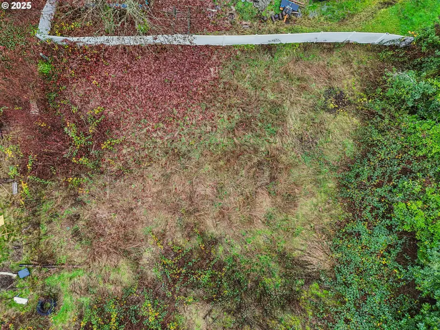 NW Wapato Ave, Portland, OR 97231 - Image #2