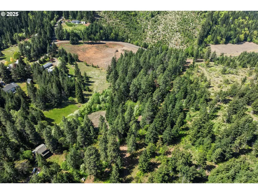 Hillcrest Dr, Mount Hood Parkdale, OR 97041 - #3