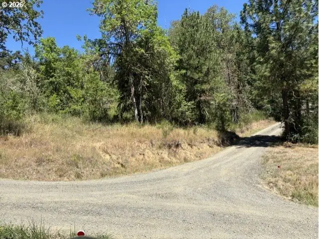 0 Mountain View Dr, Sutherlin, OR 97479 - #3