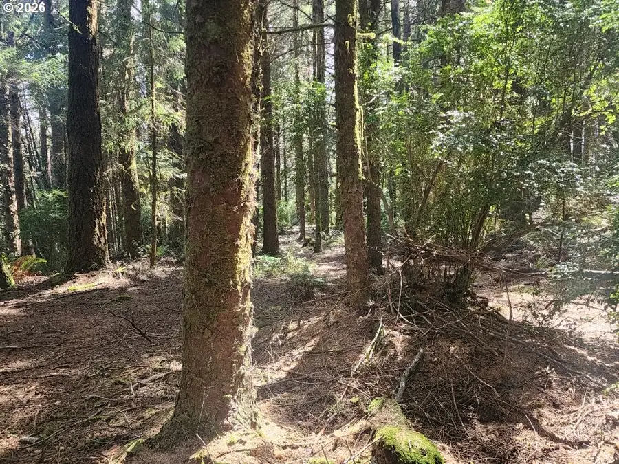 Cemetery Loop Rd #2300, Portorford, OR 97465 - #2