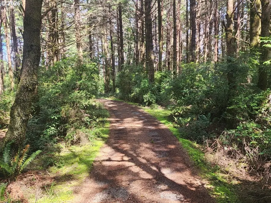 Cemetery Loop Rd #2300, Portorford, OR 97465 - #3