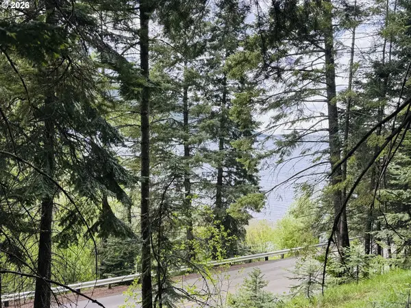 0 Forest Dell Rd, Joseph, OR 97846