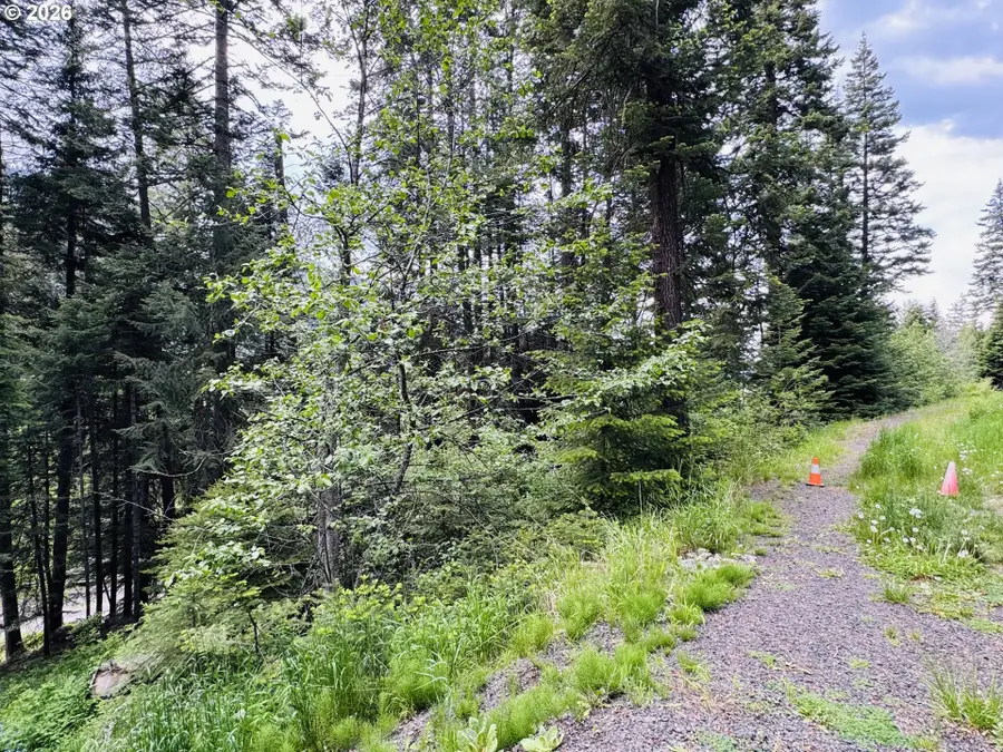0 Forest Dell Rd, Joseph, OR 97846 - #2