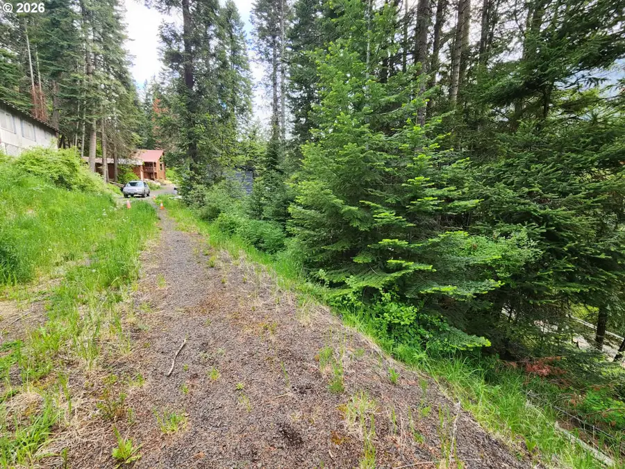 0 Forest Dell Rd, Joseph, OR 97846 - #3