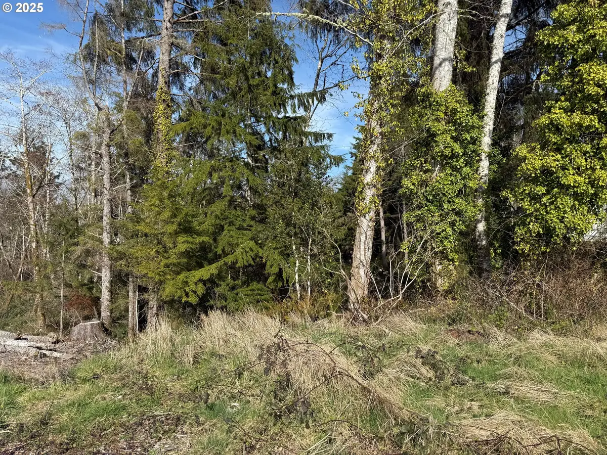 Spruce Dr, Seaside, OR 97138 - #1