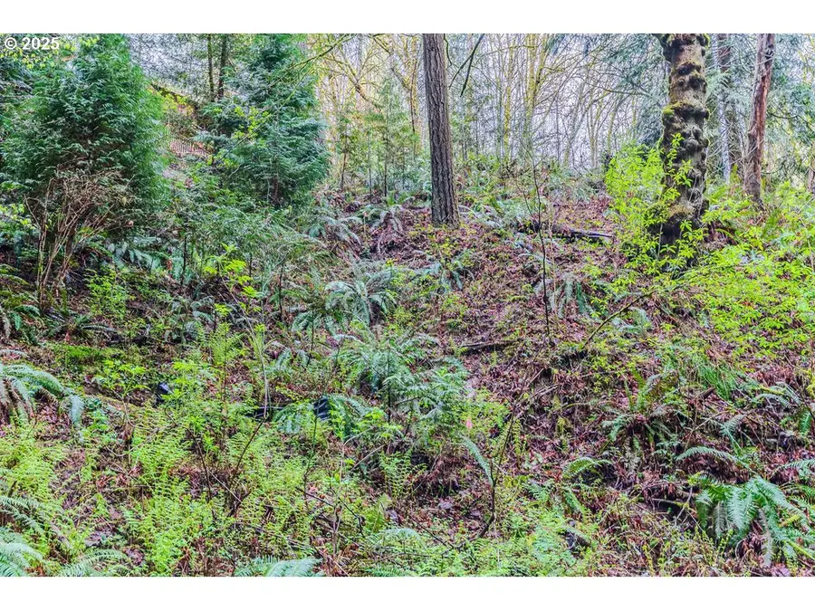 6933 SE Barbara Welch Rd, Portland, OR 97236 - #3