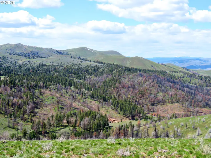 Clarks Creek Rd, Bridgeport, OR 97819 - #3