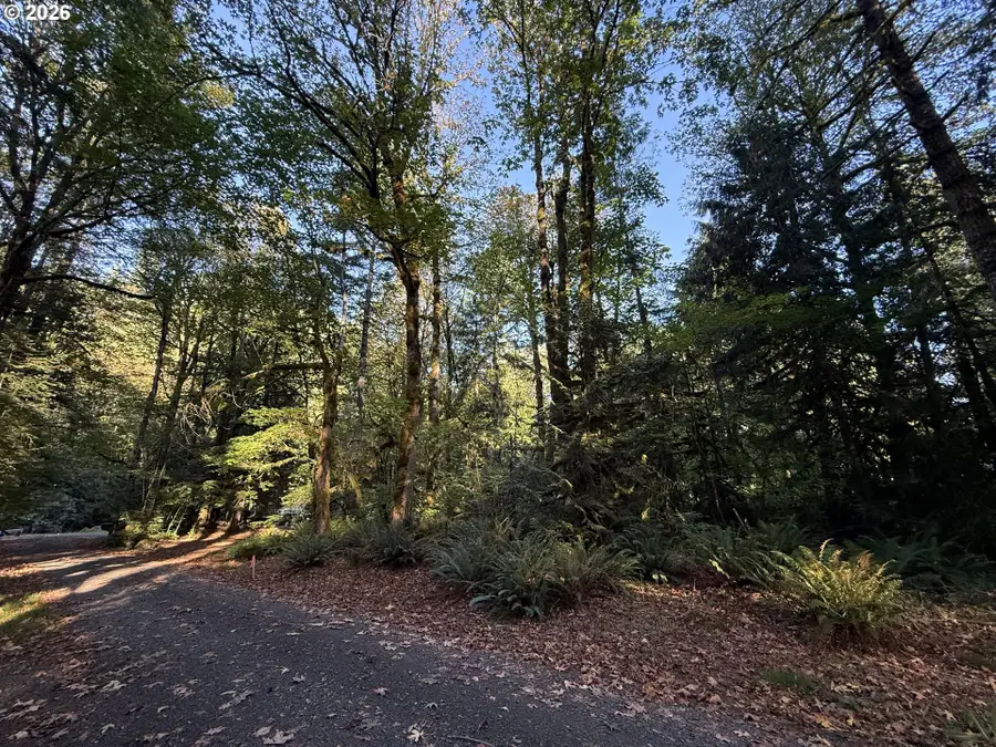 65365 E Barlow Trail Rd, Rhododendron, OR 97049 - #3