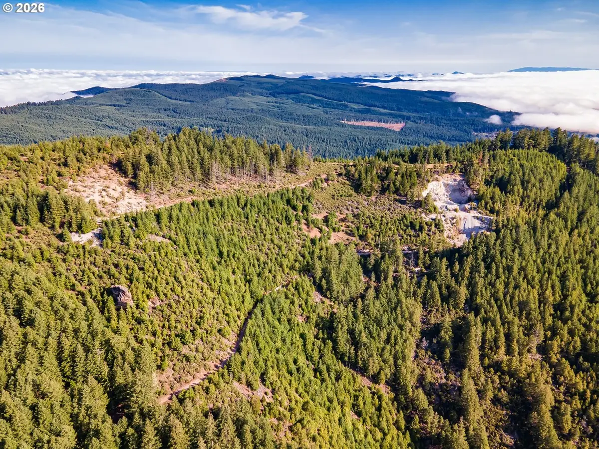 Fireclay Rd, Cottage Grove, OR 97424 - #1