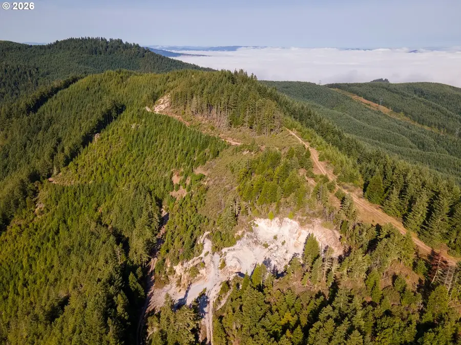 Fireclay Rd, Cottage Grove, OR 97424 - #2