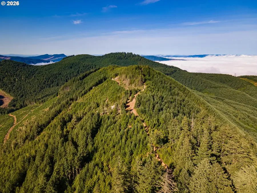 Fireclay Rd, Cottage Grove, OR 97424 - #3
