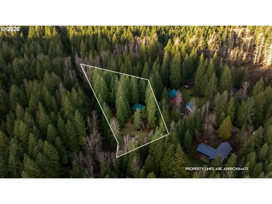 62 Sadie Rd, Carson, WA 98610 - Image #2