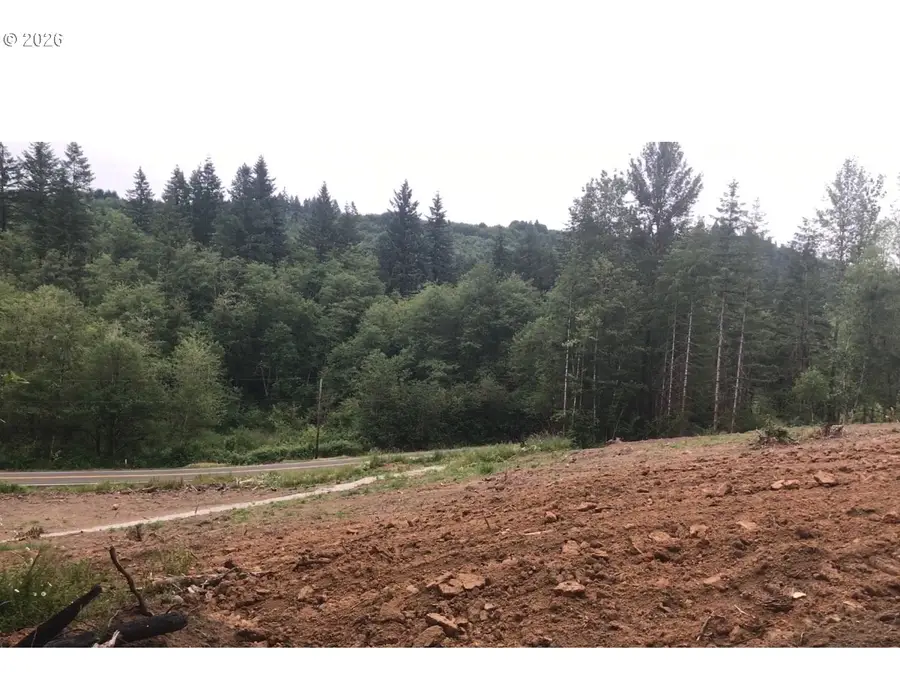 0 NE Jenny Creek Rd, La Center, WA 98629 - #3