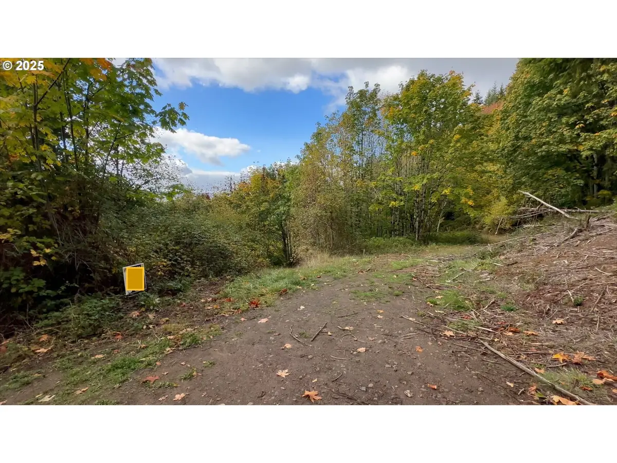 239 Columbia View Dr, Woodland, WA 98674 - #1