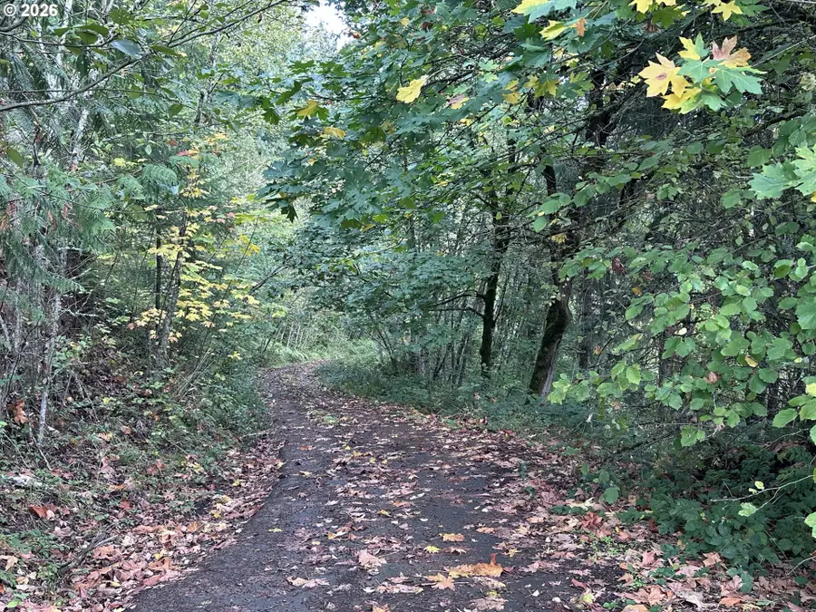 239 Columbia View Dr, Woodland, WA 98674 - #2