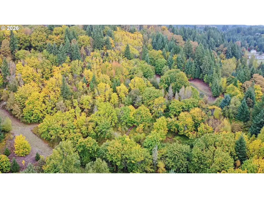 239 Columbia View Dr, Woodland, WA 98674 - #3