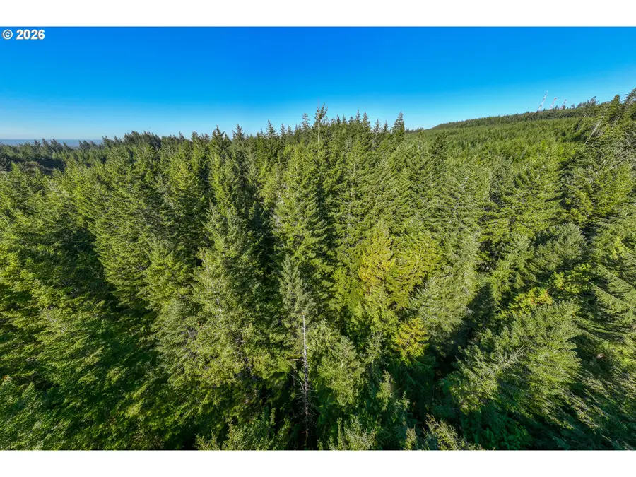 Grand Ave #700, Florence, OR 97439 - #3