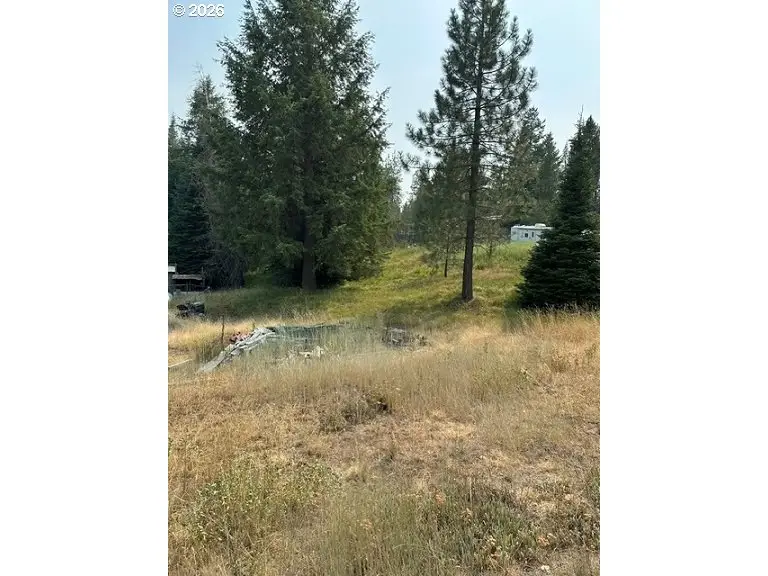Kamela Loop, Meacham, OR 97859 - #1