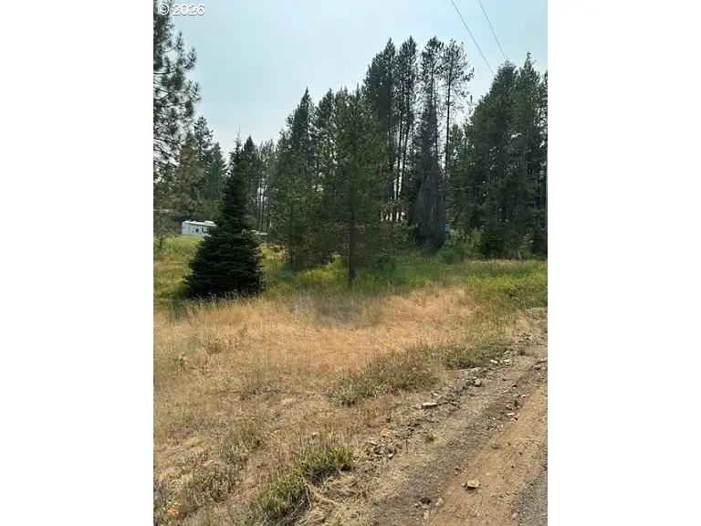 Kamela Loop, Meacham, OR 97859 - #2