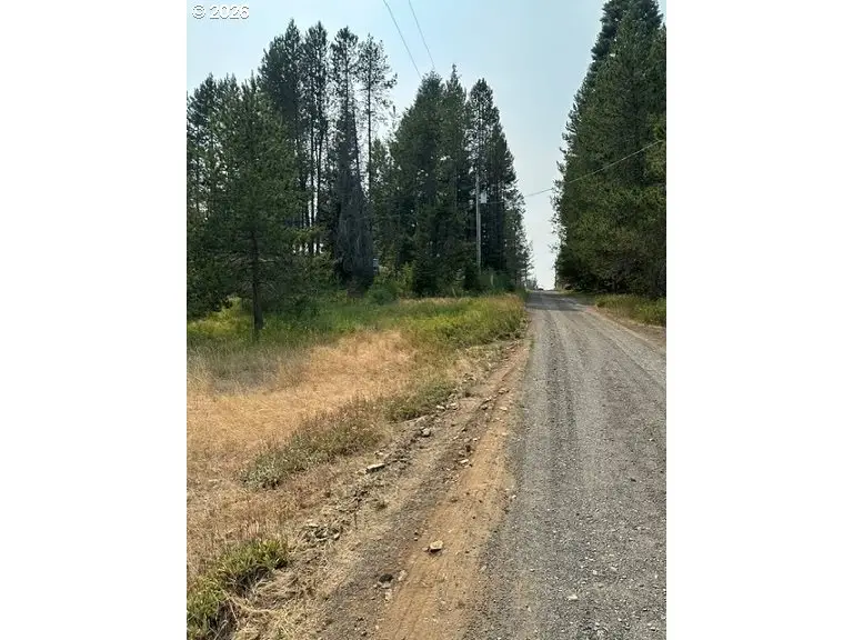 Kamela Loop, Meacham, OR 97859 - #3